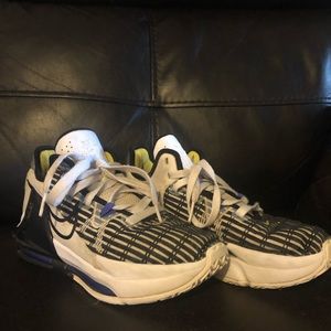 Nike Lebron James shoes